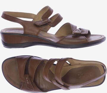 ECCO Sandals & High-Heeled Sandals in 41 in Brown: front