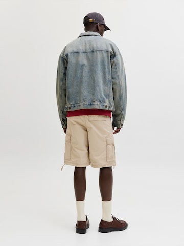 JACK & JONES Regular Cargo Pants 'JPSTCOLE FRANK' in Brown