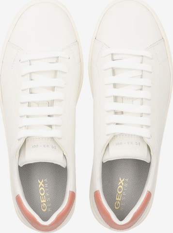 GEOX Sneakers in White