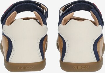 GEOX Open schoenen in Bruin