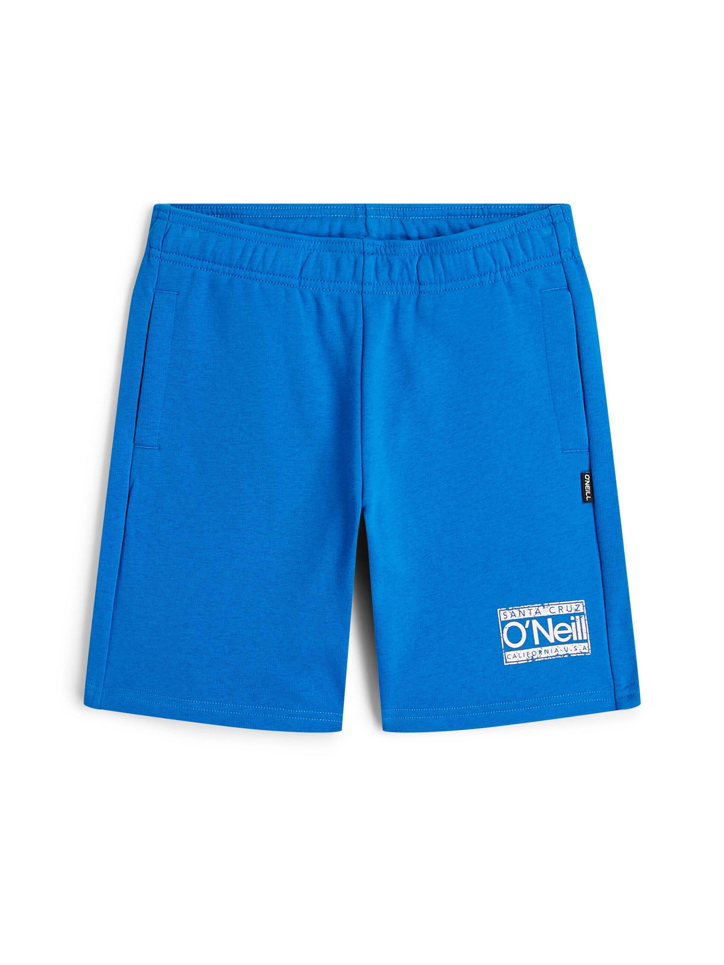 regular Pantaloni di O'NEILL in blu: frontale