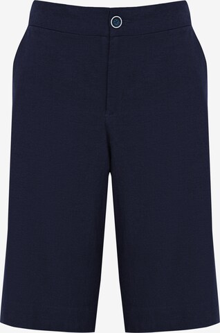 Finn Flare Shorts in Blau: predná strana