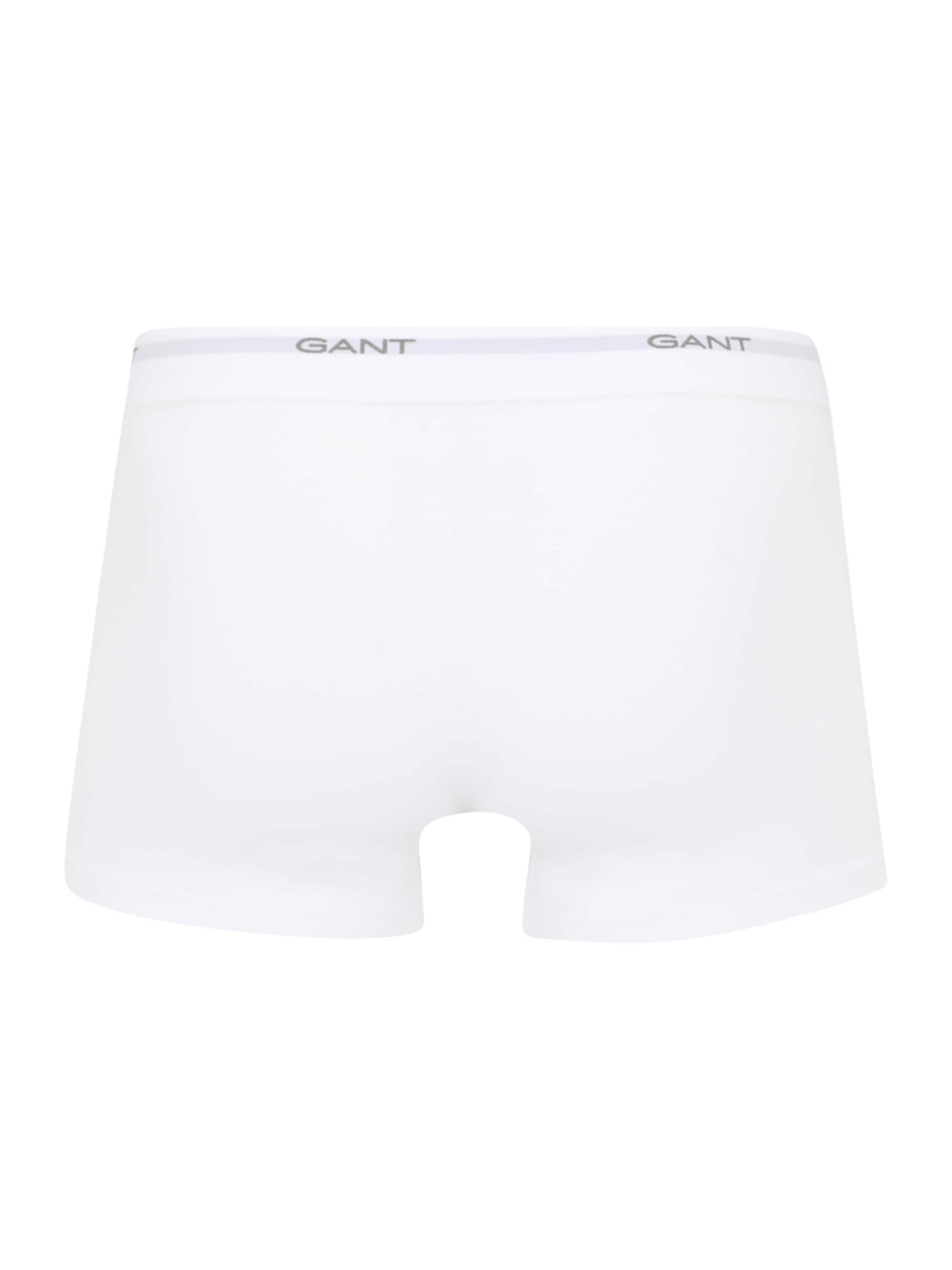 GANT Boxer shorts in Grey