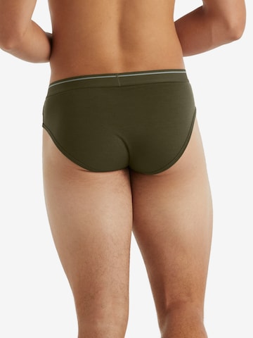 Pantaloncini intimi sportivi 'Anatomica' di ICEBREAKER in verde