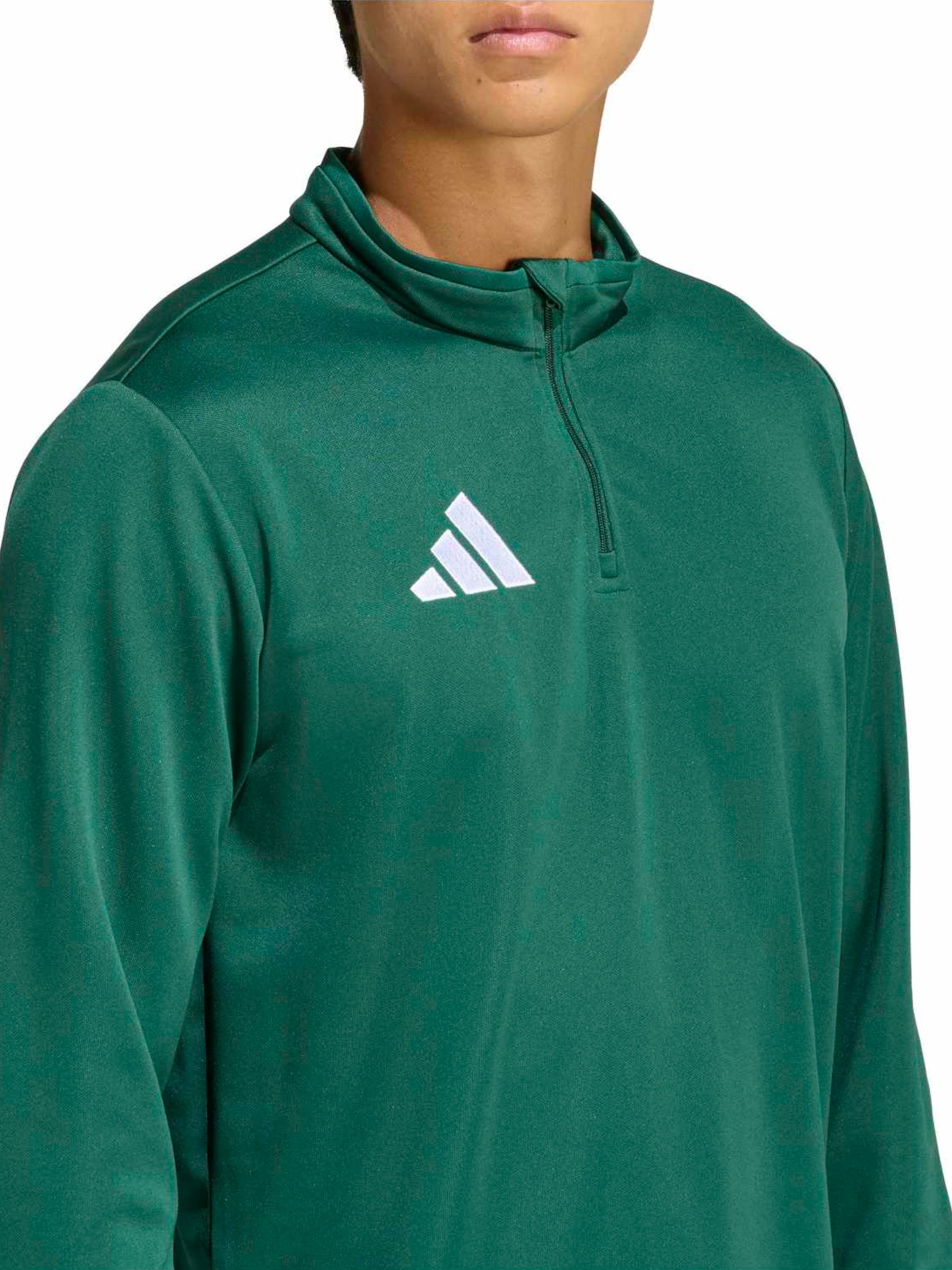 žalia ADIDAS PERFORMANCE Sportiniai marškinėliai 'ENT26'