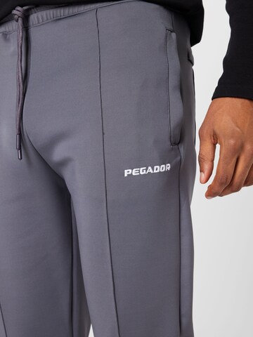 Pegador Regular Pants in Grey