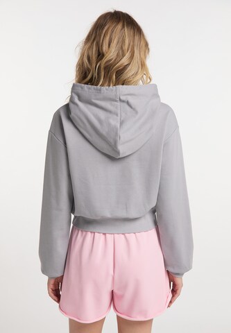 IZIA Sweatshirt in Grau