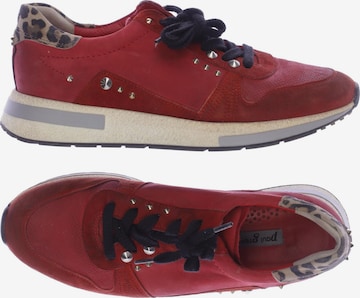 Paul Green Sneaker 37,5 in Rot: predná strana