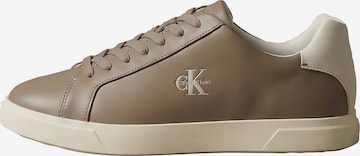Calvin Klein Sneaker in Braun: Vorderseite