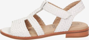 SIOUX Sandals ' Cosinda-702 ' in White