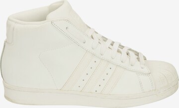ADIDAS Sneakers & Trainers in 39 in White: front