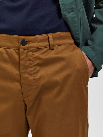 SELECTED HOMMEregular Chino hlače 'STOKE' - smeđa boja
