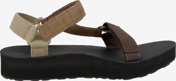 TEVA Sandale in Braun