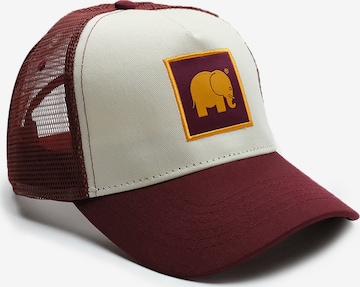 Trendsplant Lippalakki ' CLASSIC TRUCKER ' värissä punainen: etupuoli