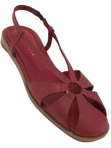 Limoya Sandals 'Damensandalen' in Red: front