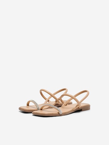 ONLY Strap Sandals 'MILAN' in Brown