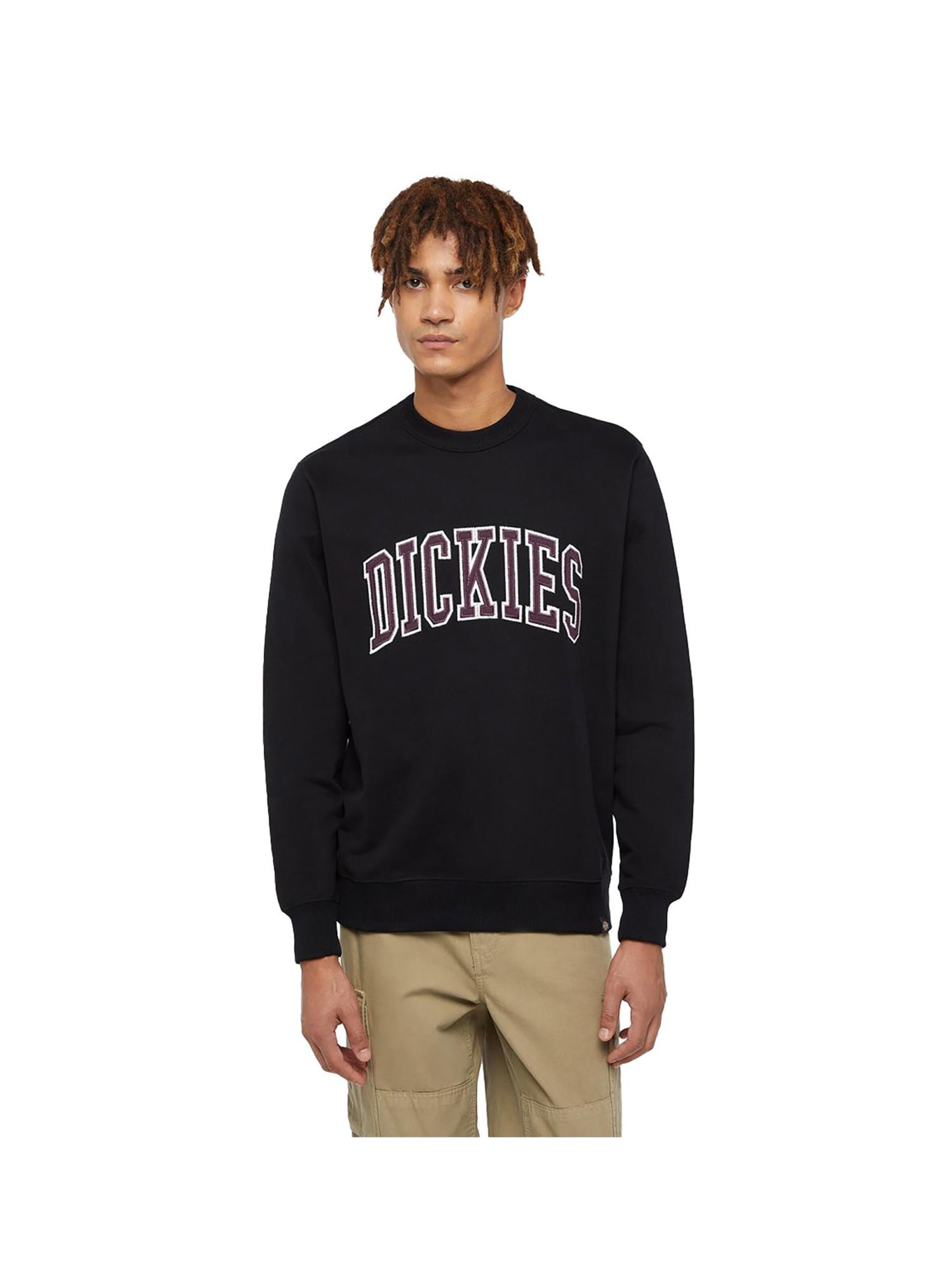 DICKIES Sweatshirt 'Aitkin' in Black: front