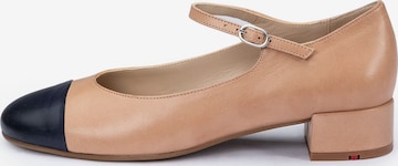 Ballerina di LLOYD in beige: frontale