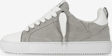 Dutch'D Sneaker low 'Charm ERA' in Grau: Vorderseite