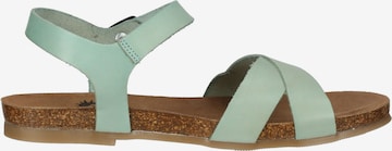 Sandales COSMOS COMFORT en vert