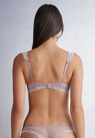 INTIMISSIMI Balconette BH in Lila