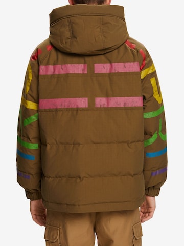 ESPRIT Winter Jacket in Brown