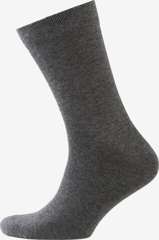 Chaussettes Nur Der en gris