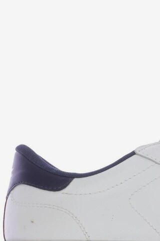 LACOSTE Sneakers & Trainers in 41 in White