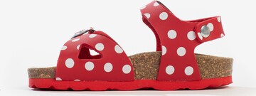 Bayton Sandalen 'Pegase' in Rood