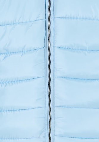 usha BLUE LABEL Зимняя куртка в Синий