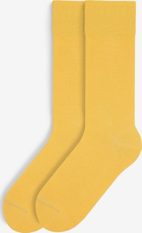 Von Jungfeld Socks 'SIGNATURE' in Yellow: front