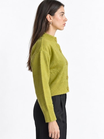Viorna Knit cardigan 'Strickjacken' in Green
