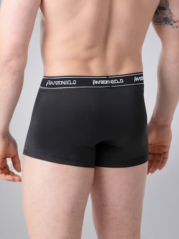 PANTONECLO Boxer shorts 'Pantoneclo Men’s Boxer Underwear' in Black
