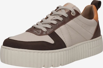 SALAMANDER Ниски маратонки в бежово: отпред