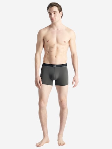 ADIDAS SPORTSWEAR Trunk  'Active Micro Flex Eco' in Grau