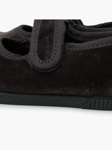 Chaussure basse Pisamonas en gris