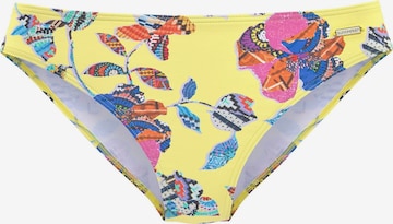 SUNSEEKER Bikinihose 'Jam' in Gelb: Vorderseite