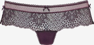 VIVANCE - Cueca em roxo: frente