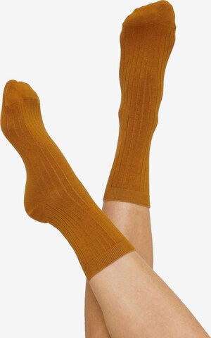 Organic Basics Socken ' Rib Socks 2-pack ' in Braun: predná strana