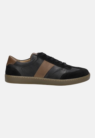 JOSEF SEIBEL High-top trainers in Black
