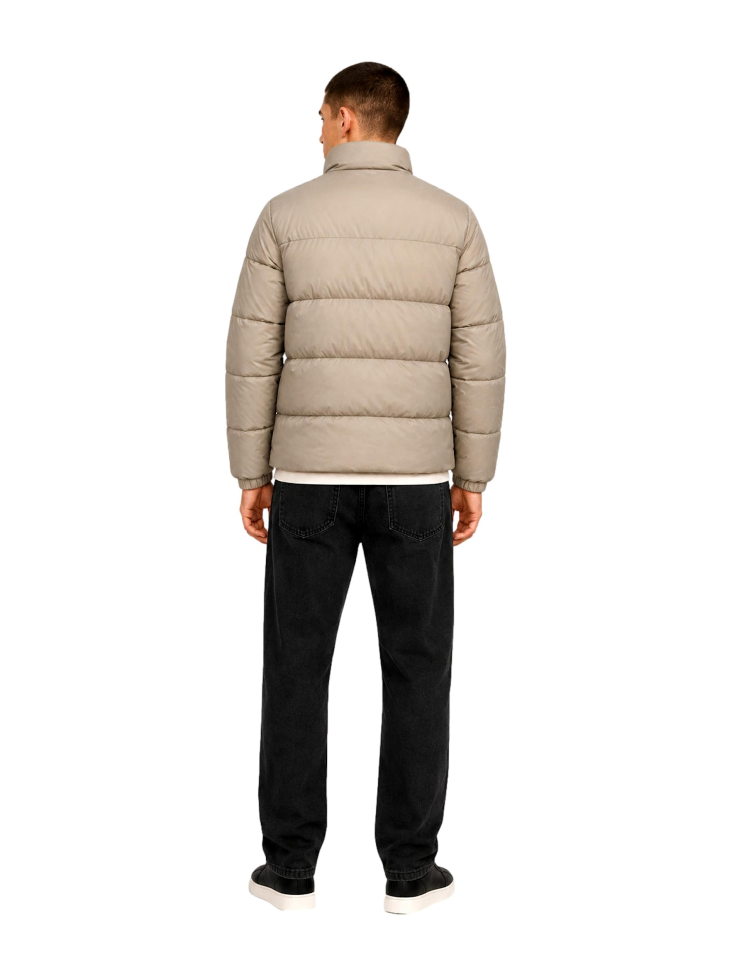 JACK & JONES Talvitakki 'Chili Puffer' värissä beige