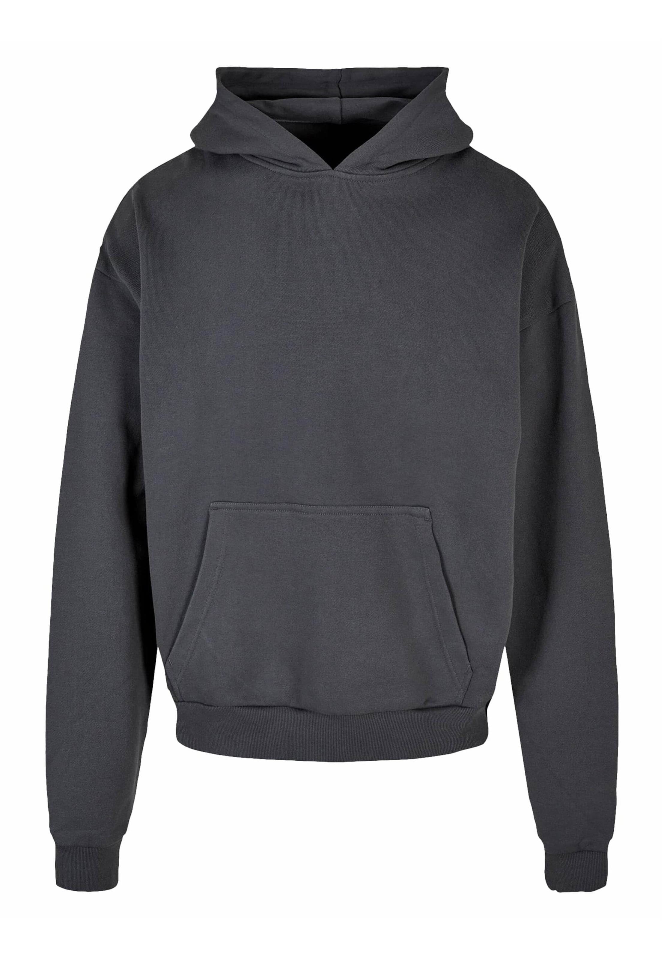 Just Rhyse Sweatshirt 'Tucan' in Grijs