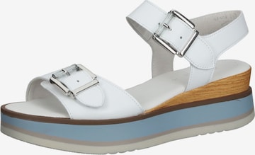 GABOR Sandalen met riem in Wit: voorkant