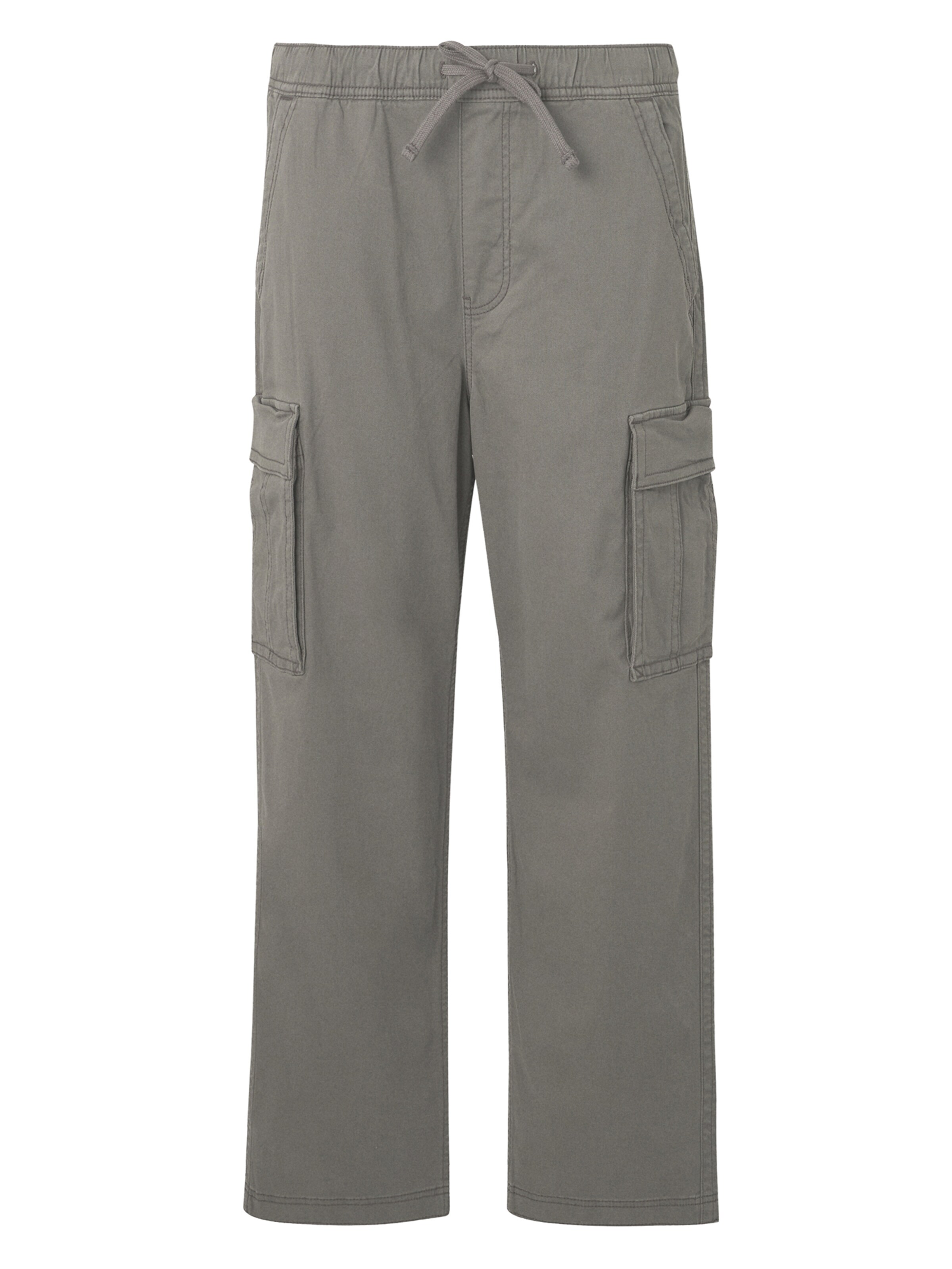 HOLLISTER Baggy Брюки-карго в Серый: спереди