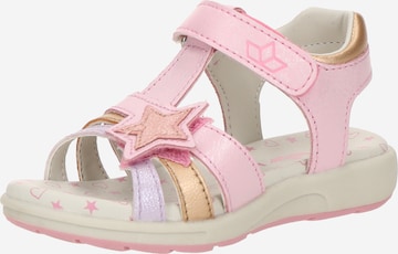 LICO Sandaalit 'Rinara V' värissä vaaleanpunainen: etupuoli