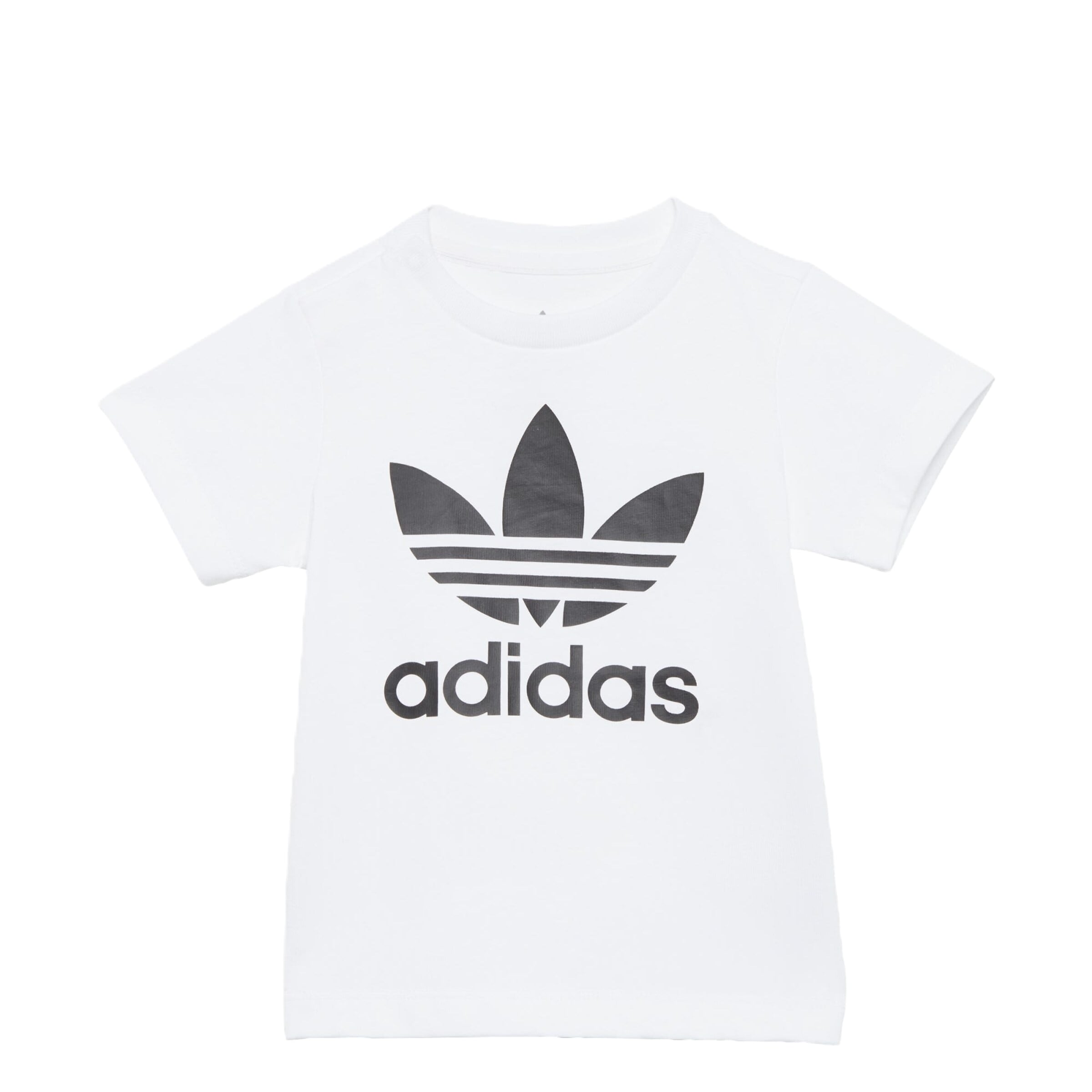 ADIDAS ORIGINALS T-Shirt 'Trefoil' in Weiß: Vorderseite