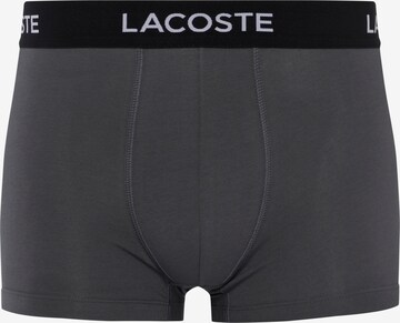 LACOSTE Boxer shorts in Grey