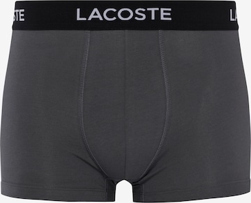 Boxer di LACOSTE in grigio