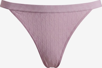 Calvin Klein Underwear Thong in Purple: front