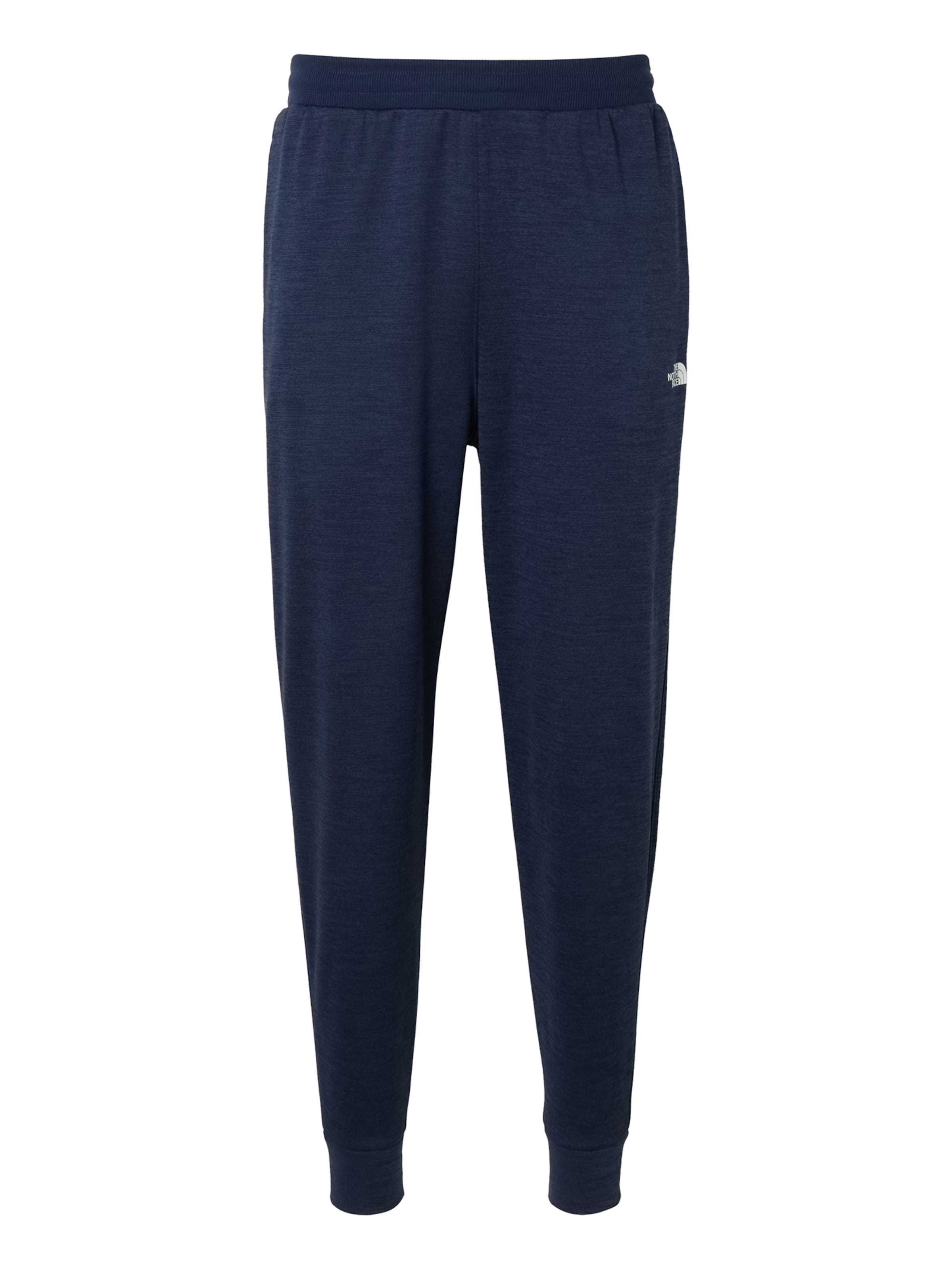 THE NORTH FACE Конический (Tapered) Спортивные штаны в Синий: спереди
